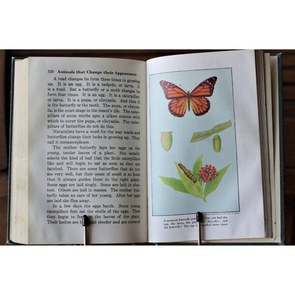 School Book "Pathways In Science V, Learning About Our World" Ginn and Company - Picture 8 of 9